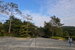 2022年深圳入户核准制有点出人意料