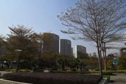 深圳海归落户政策2022心得！