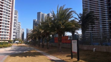 深度解析深圳户口从集体户迁出