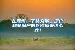 在深圳，子女入学，深户和非深户的区别原来这么大！