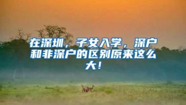 在深圳，子女入学，深户和非深户的区别原来这么大！