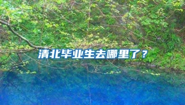 清北毕业生去哪里了？