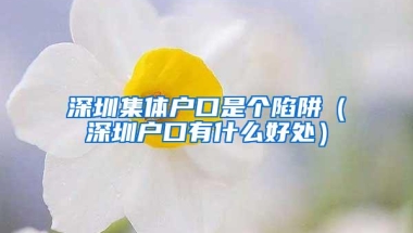 深圳集体户口是个陷阱（深圳户口有什么好处）