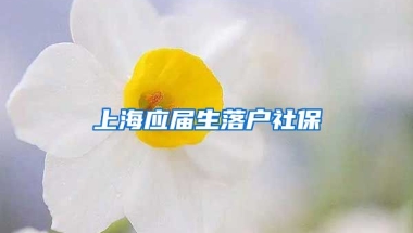 上海应届生落户社保