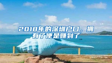 2018年的深圳户口，拥有了便是赚到了