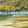 松江区上海居转户规划咨询