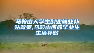 马鞍山大学生创业就业补贴政策,马鞍山应届毕业生生活补贴