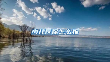 少儿医保怎么报
