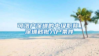 可落户深圳的中级职称_深圳秒批入户条件