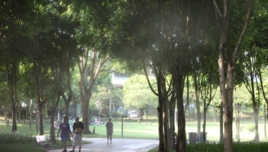 绿色之路：深圳留学生落户政策重要的是什么？