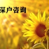 2021年国外留学生入深户中介-办理深户条件