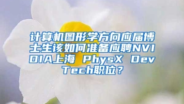 计算机图形学方向应届博士生该如何准备应聘NVIDIA上海 PhysX DevTech职位？