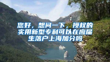 您好，想问一下，授权的实用新型专利可以在应届生落户上海加分吗