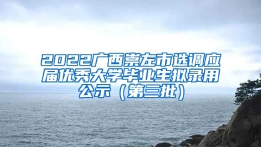 2022广西崇左市选调应届优秀大学毕业生拟录用公示（第三批）