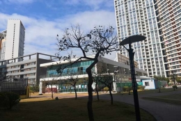 关于深圳调干入户流程2022不得不说的那些事儿！