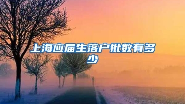 上海应届生落户批数有多少