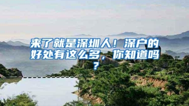 来了就是深圳人！深户的好处有这么多，你知道吗？