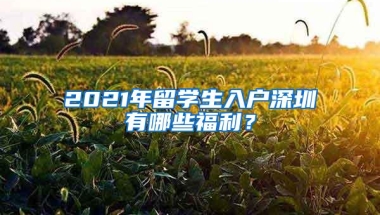 2021年留学生入户深圳有哪些福利？