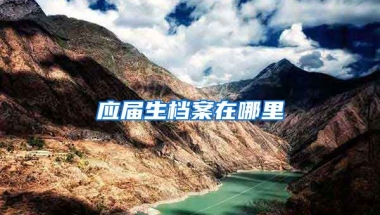 应届生档案在哪里