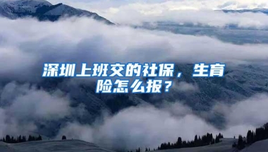 深圳上班交的社保，生育险怎么报？