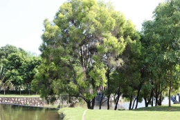 大学生落户深圳公司没有集体户口哪些重点容易被忽略