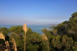 新攻略：深圳集体户口迁入房产指南！