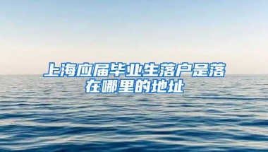 上海应届毕业生落户是落在哪里的地址