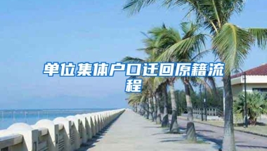 单位集体户口迁回原籍流程