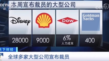 热点解析｜欧美巨头突发裁员潮， 留学生求职梦碎？