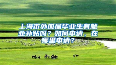 上海市外应届毕业生有就业补贴吗？如何申请，在哪里申请？
