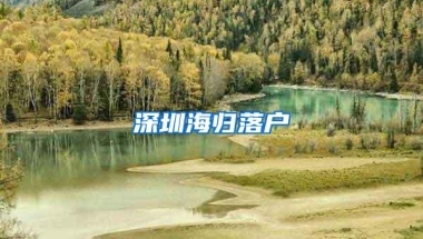 深圳海归落户