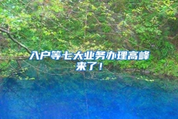 入户等七大业务办理高峰来了！