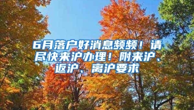 6月落户好消息频频！请尽快来沪办理！附来沪、返沪、离沪要求