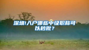 深圳!入户哪些中级职称可以秒批？