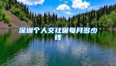 深圳个人交社保每月多少钱