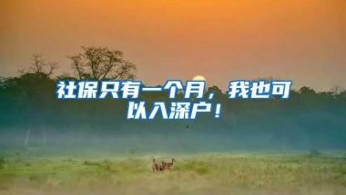 社保只有一个月，我也可以入深户！