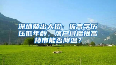 深圳祭出大招：拔高学历压低年龄，落户门槛提高楼市能否降温？