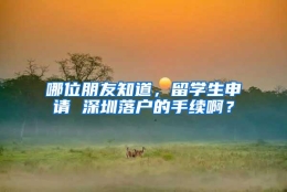 哪位朋友知道，留学生申请 深圳落户的手续啊？