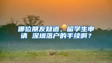 哪位朋友知道，留学生申请 深圳落户的手续啊？