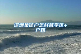 深圳集体户怎样算学区+户籍