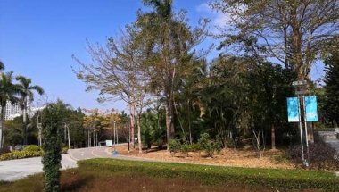 应对深圳入户需要会计中级职称档案问题有何思路？