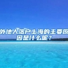 外地人落户上海的主要原因是什么呢？