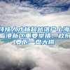 特殊人才杨超越落户上海，临港新区重要举措，政府要下一盘大棋