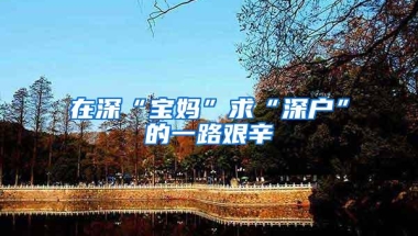 在深“宝妈”求“深户”的一路艰辛