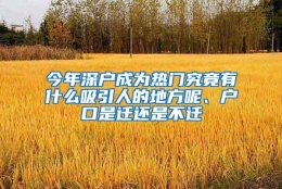 今年深户成为热门究竟有什么吸引人的地方呢、户口是迁还是不迁