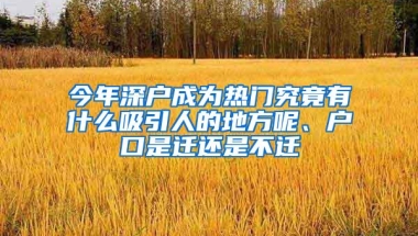 今年深户成为热门究竟有什么吸引人的地方呢、户口是迁还是不迁