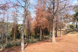 为什么你总觉得非全日制研究生怎么落户深圳是对的，即便你错了？