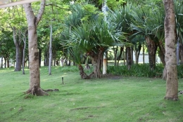 7条令你轻松解决深圳留学生入户问题的准则！