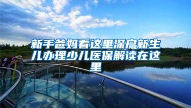 新手爸妈看这里深户新生儿办理少儿医保解读在这里