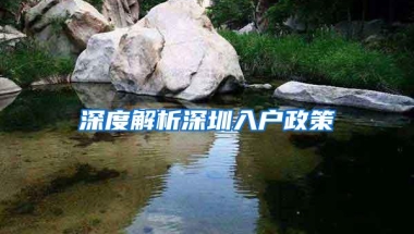 深度解析深圳入户政策